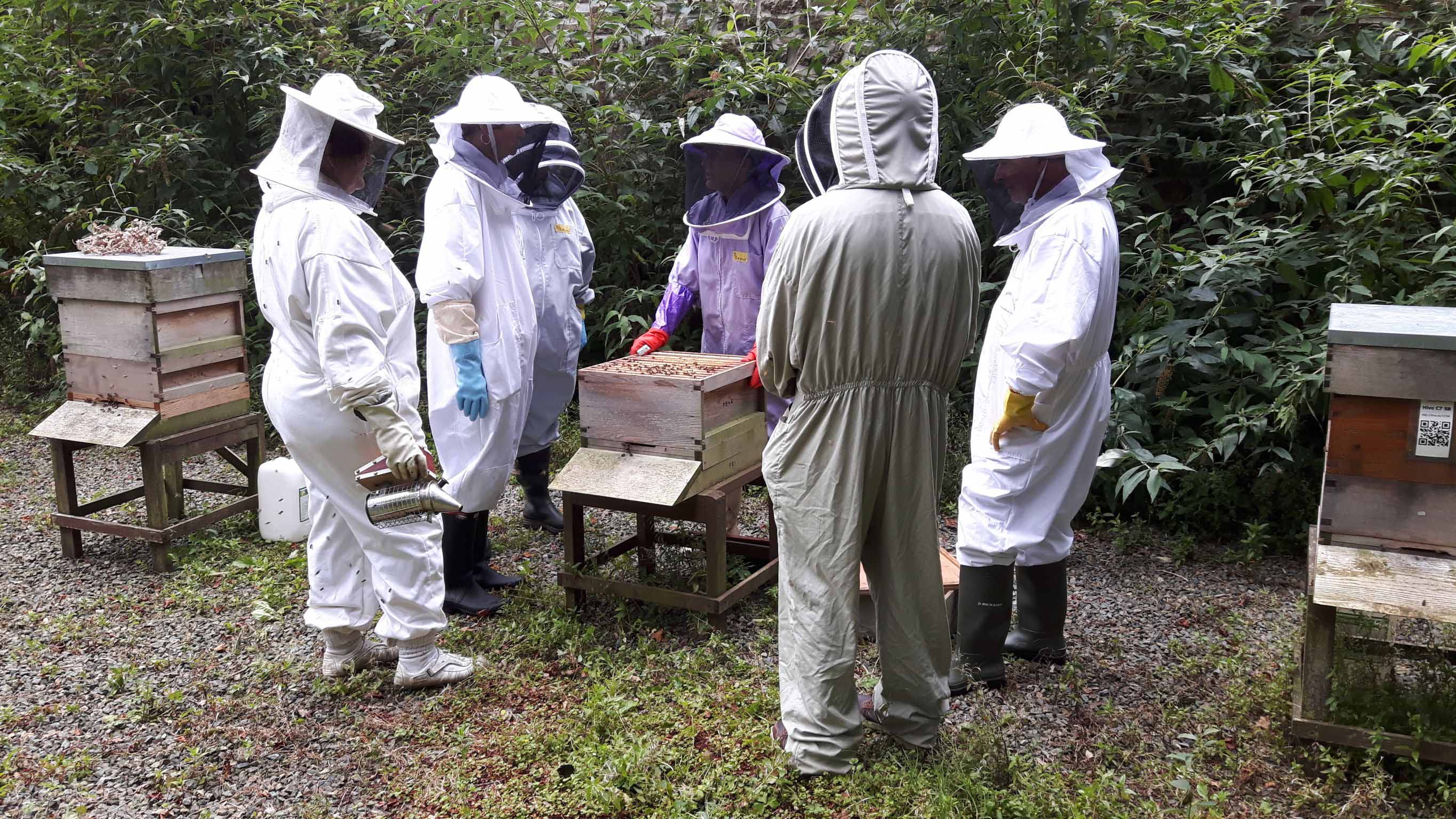 O que significa beekeeping age? - Pergunta sobre a Inglês (EUA